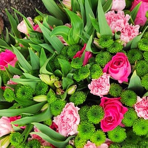 Bydgoszcz Wschód-Siernieczek kwiaciarnia, żywe kwiaty, upominki, wiązanki kwiatowe, hurtownia kwiatów Florita